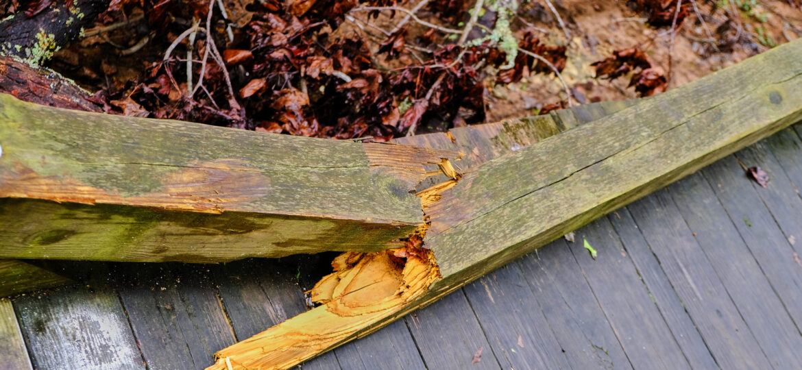Broken Treated Lumber Board
